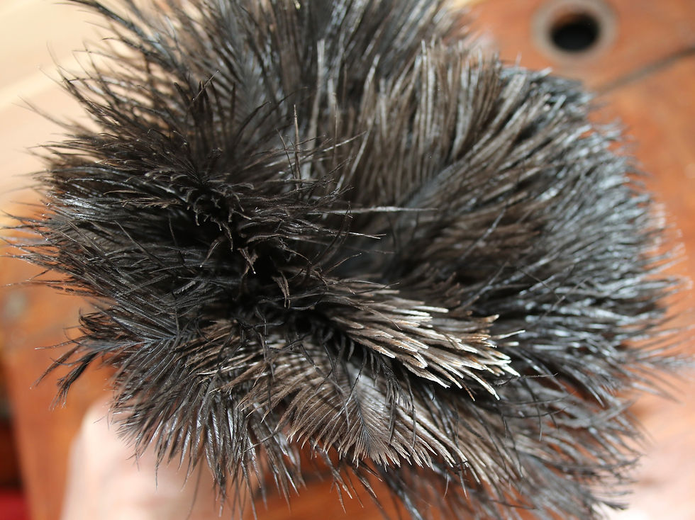 Thumbnail: Preloved Feather Duster
