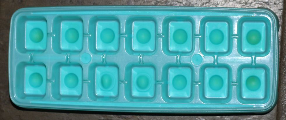 Миниатюра: Preloved Blue Tupperware ice cube tray with a lid, Fresh 'n Pure Model