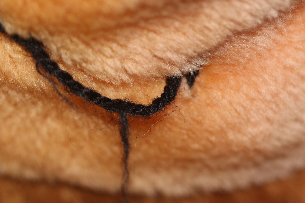 Miniatura: Preloved Large Yogi Bear Stuffed Toy