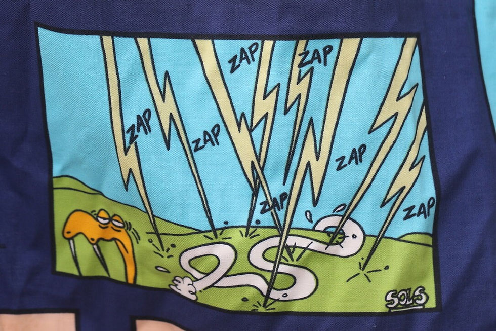 Μικρογραφία: Preloved Pair of Snake Comics Curtains