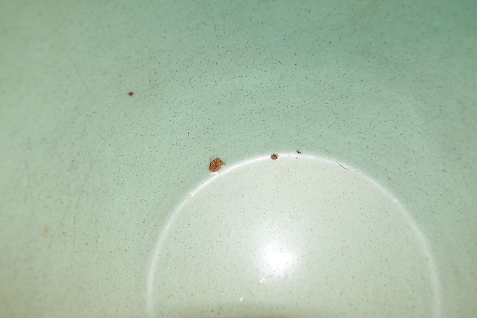 縮圖：Preloved Enamelware Bowl