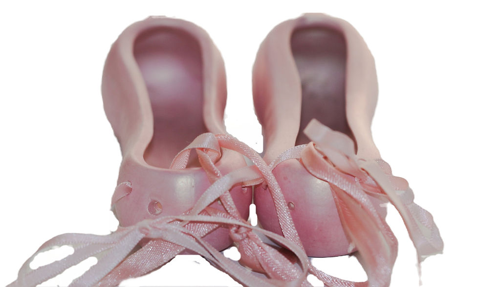 Μικρογραφία: Preloved Pointe ballerina slippers wall decoration