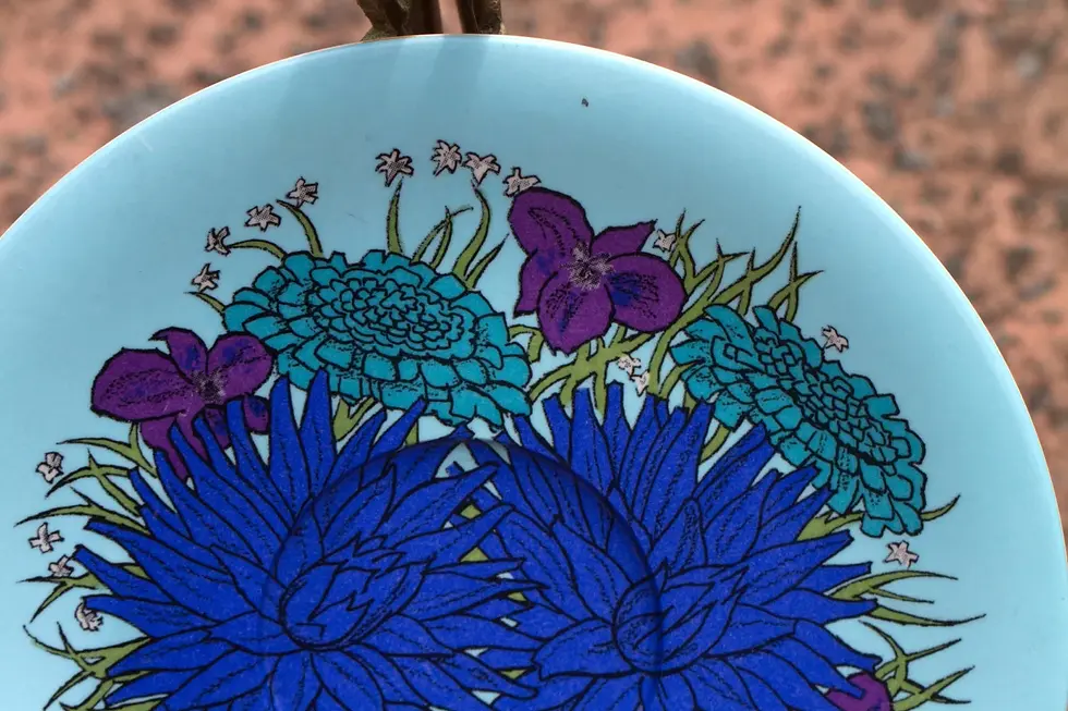 Miniatura: Preloved Bessemer Saucer, Decorative Bessemer Plate