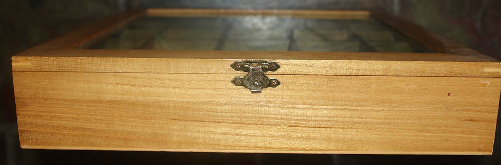 Miniaturbild: Preloved Curio Box for Displaying Small Knick Knacks Miniatures