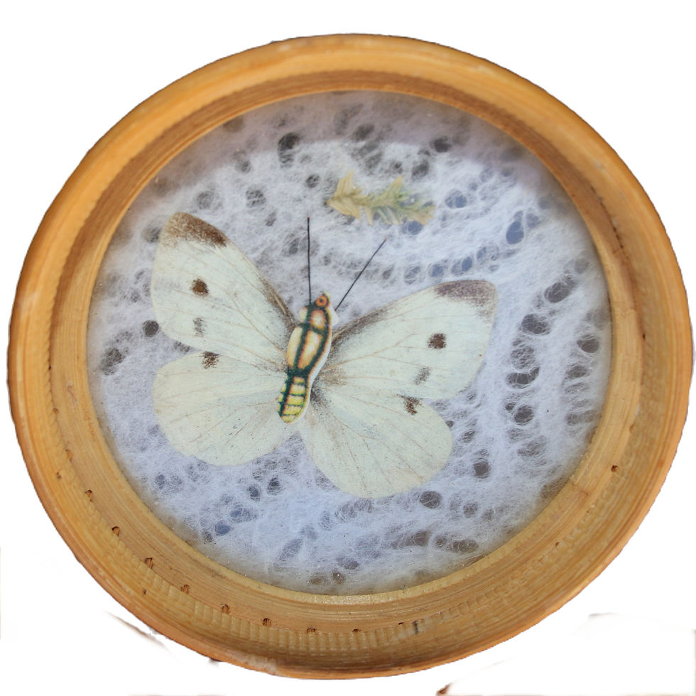 Miniatura: Preloved Trio of butterfly wicker coasters