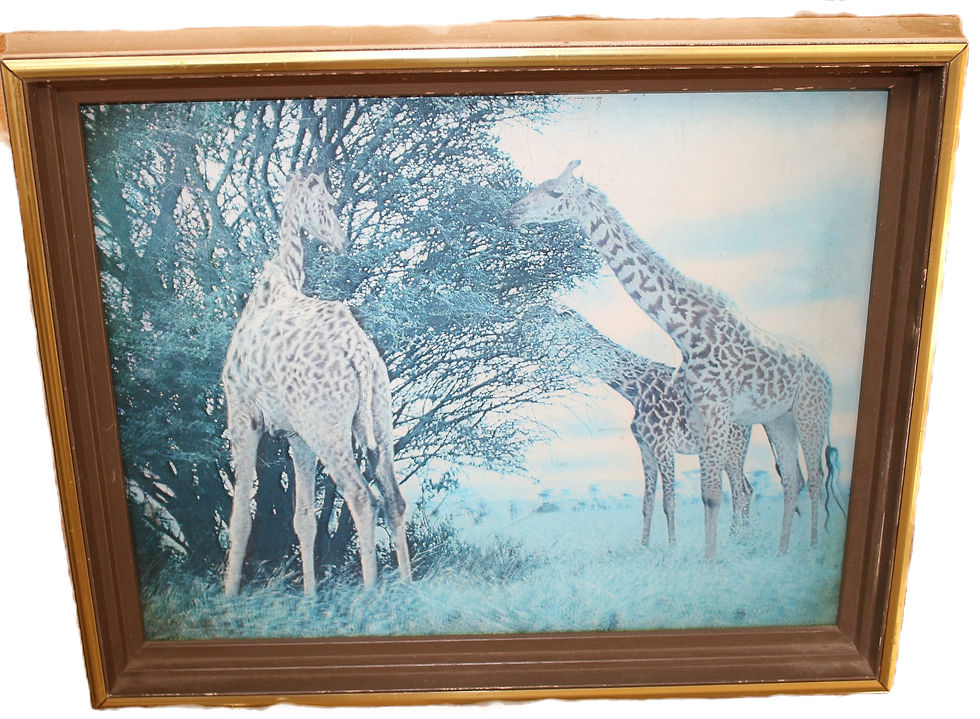 Μικρογραφία: Preloved Vintage Three Giraffes in Kenya Dimensional Picture