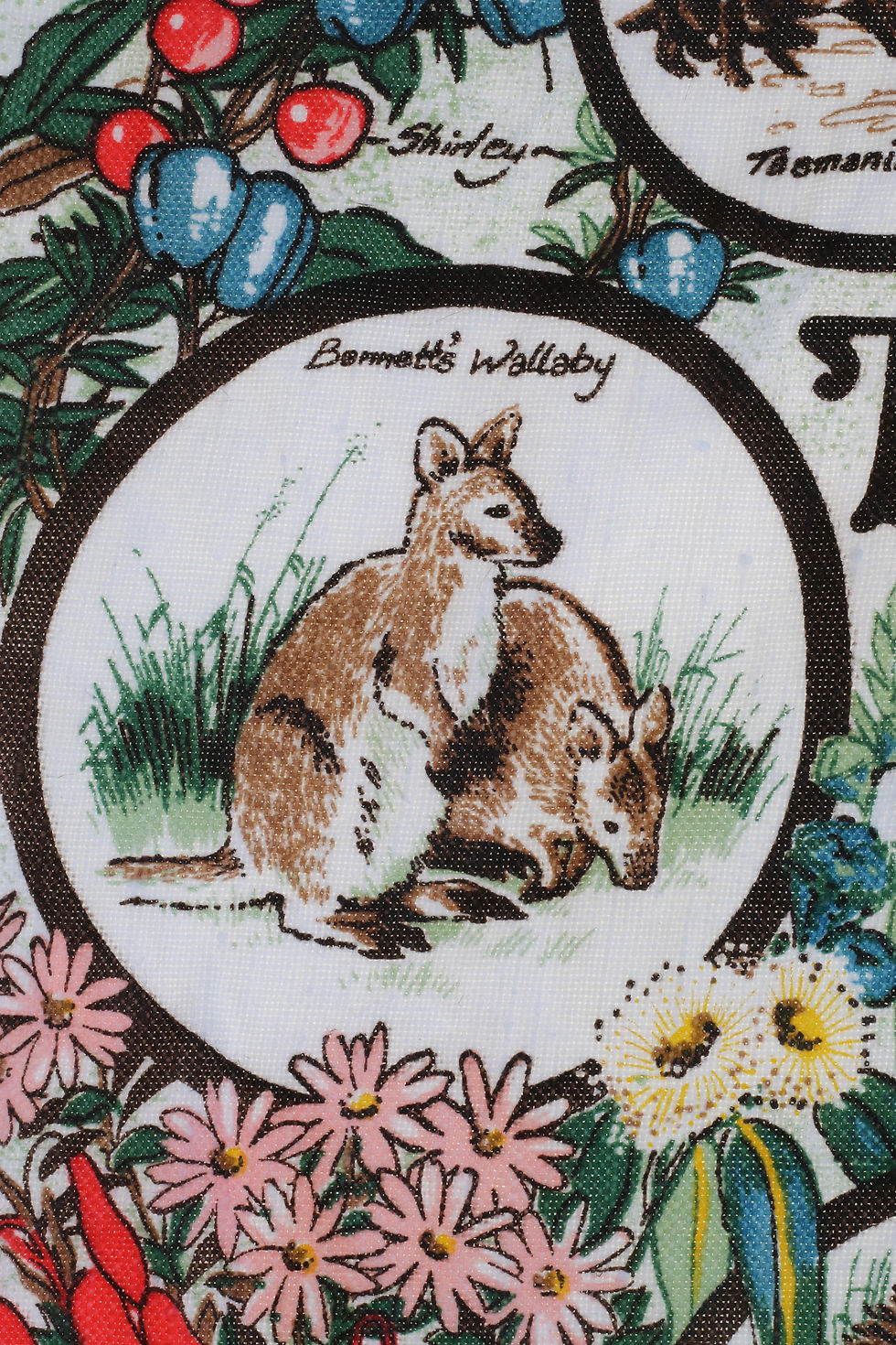 Thumbnail: Vintage Souvenir Tasmanian Wild Flowers and Wild Life Tea Towel