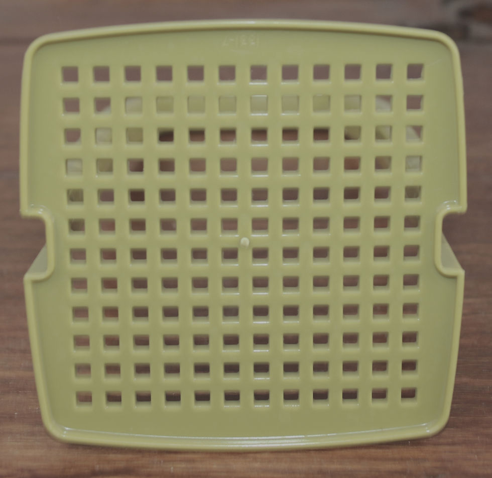縮圖：Preloved Tupperware Beetroot Keeper, Tupperware pickle or pineapple or beetroot