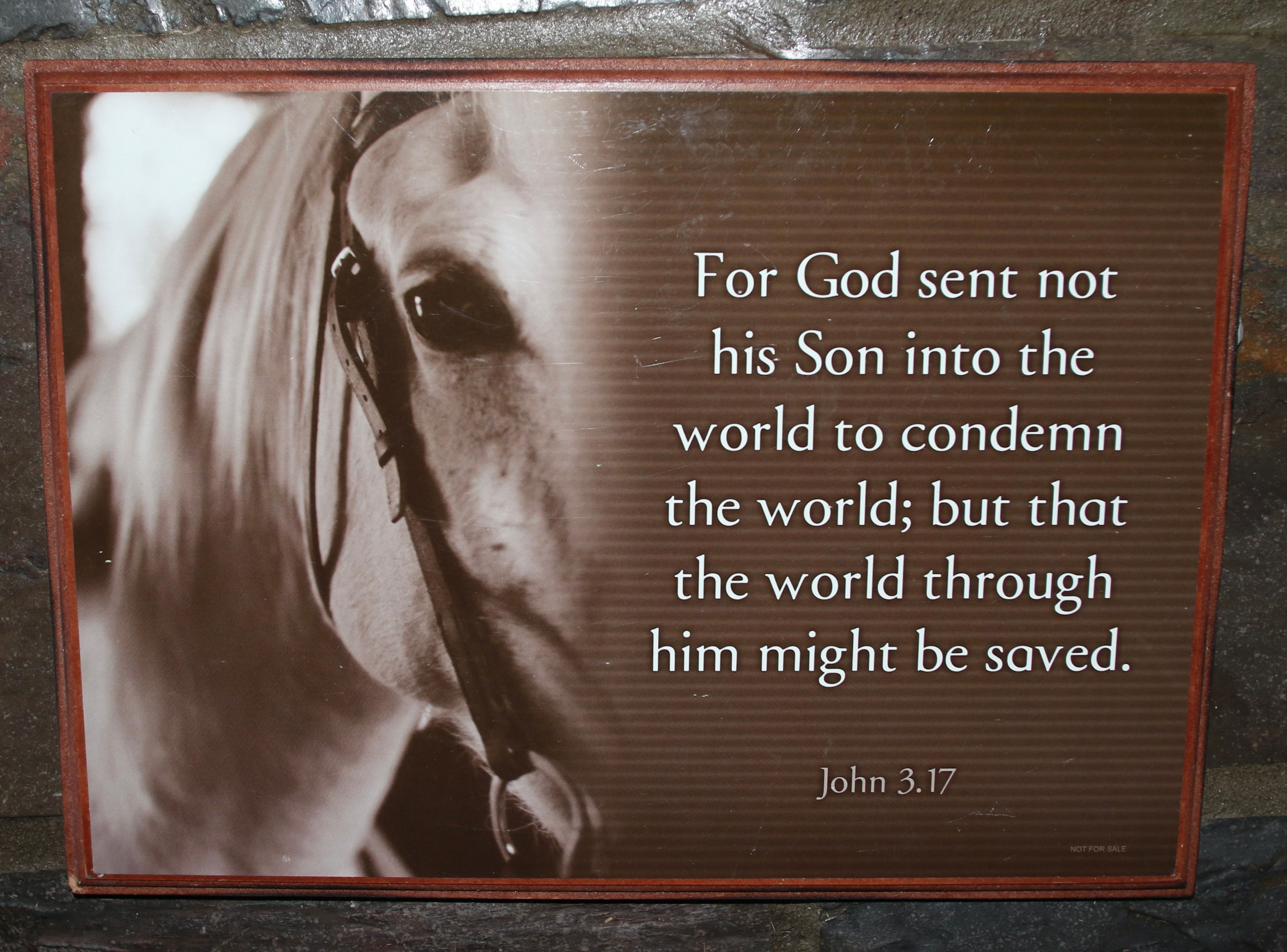 Preloved Wooden Religious Picture, God, John 3.17 with horse