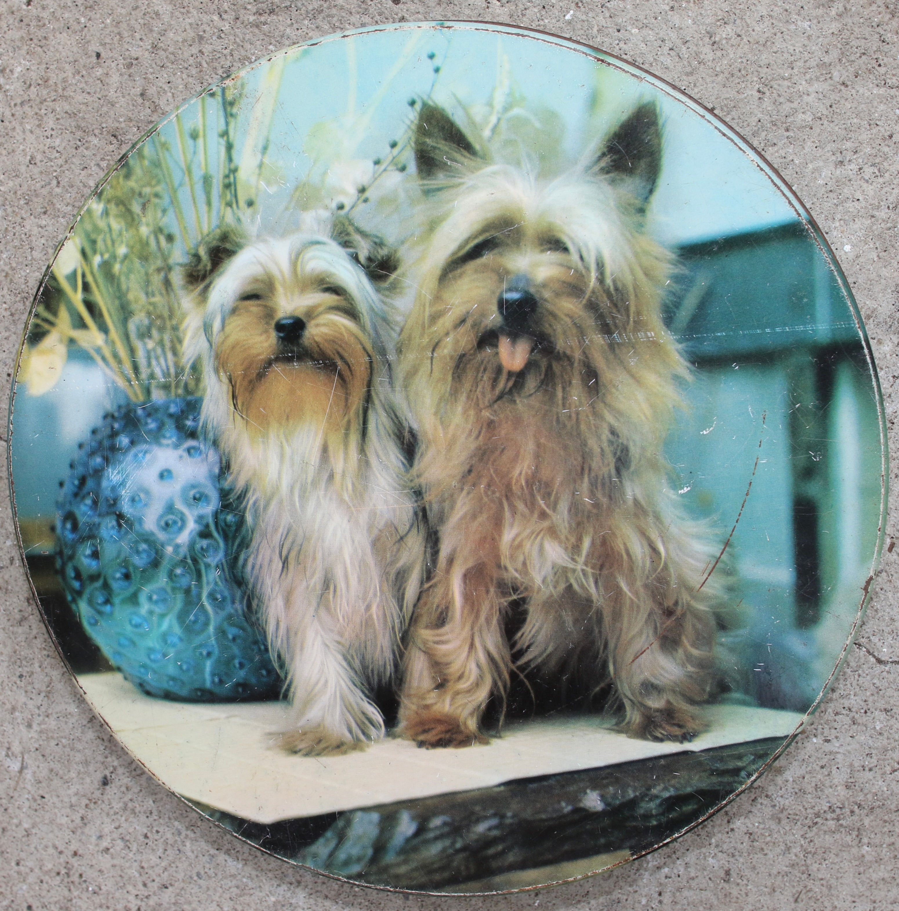 Preloved Vintage Terriers Tin, Dog Tin