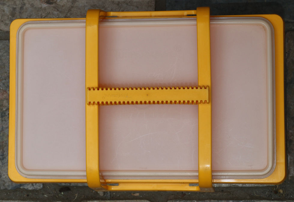 縮圖：Preloved Vintage Tupperware Carry-All container, picnic carry-all or stow-n-go.