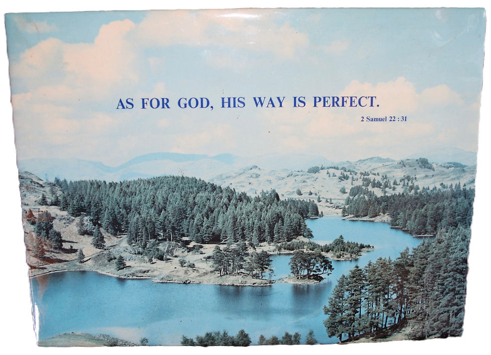 Preloved Religious Picture, 2 Samuel 22:31, God's Way