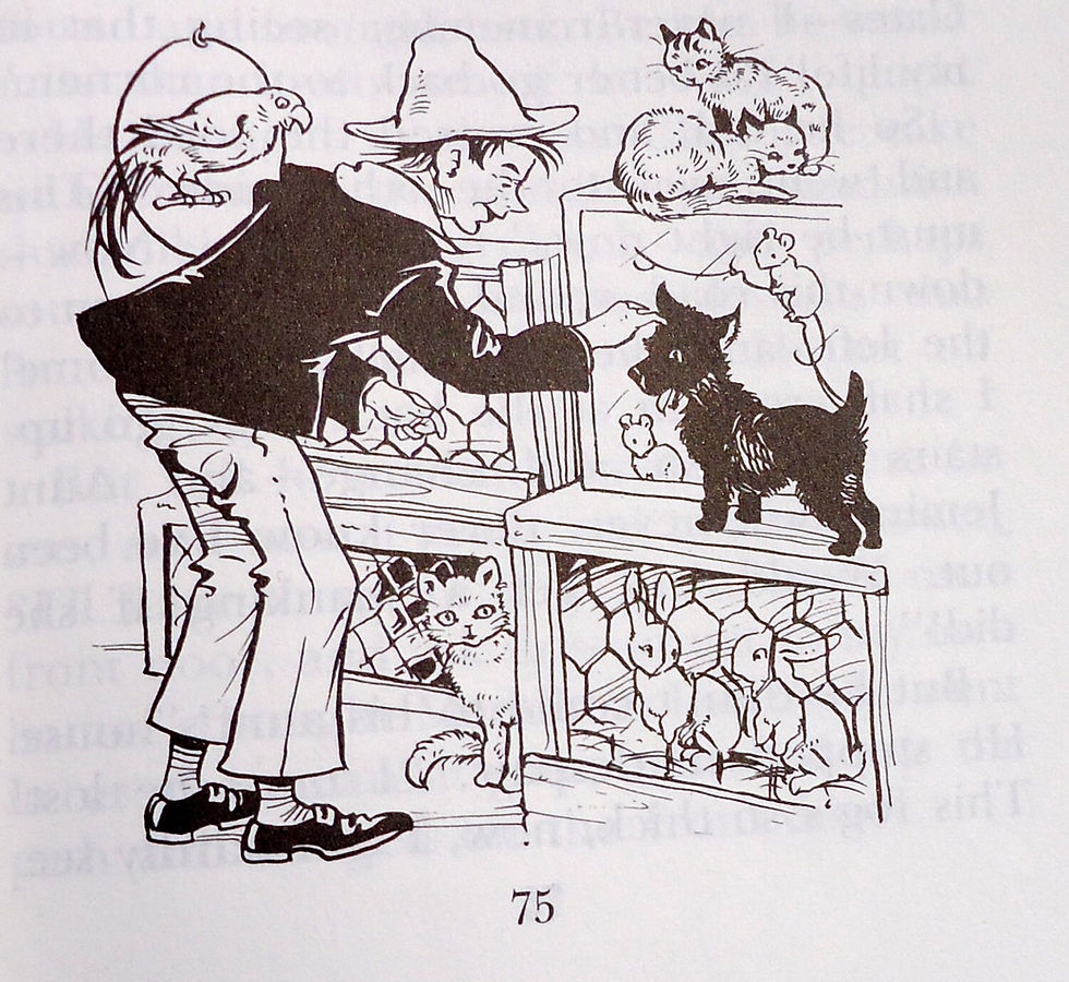 Miniatura: Preloved Classic Children's Books Enid Blyton, Merry Mr. Twiddle!