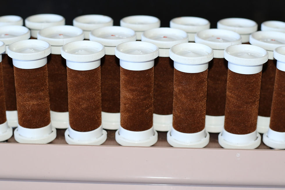 Миниатюра: Preloved Vintage Clairol CareSetter heated hair curlers set, Hair Rollers