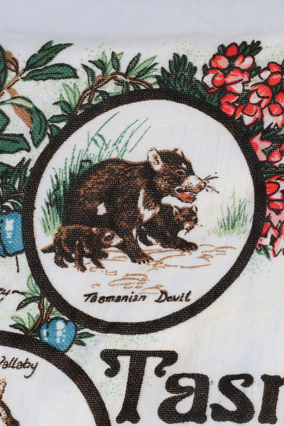 Thumbnail: Vintage Souvenir Tasmanian Wild Flowers and Wild Life Tea Towel