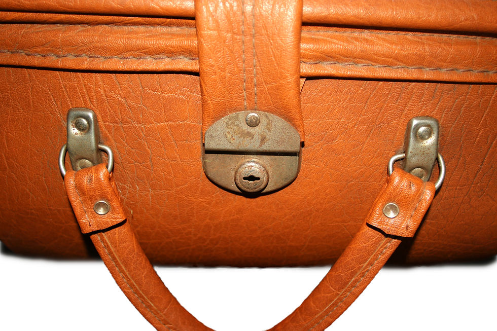 Thumbnail: Preloved Vintage Henselite Lawn Bowls Bag