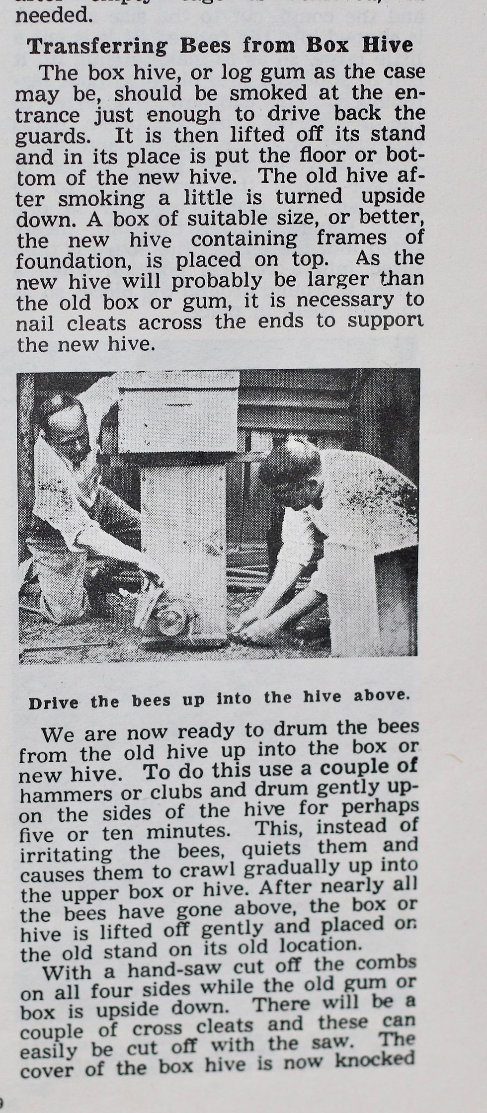 Thumbnail: Preloved Vintage Starting Right with Bees, a handbook for beginner beekeepers