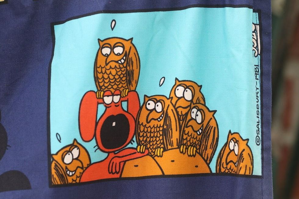 Μικρογραφία: Preloved Pair of Snake Comics Curtains