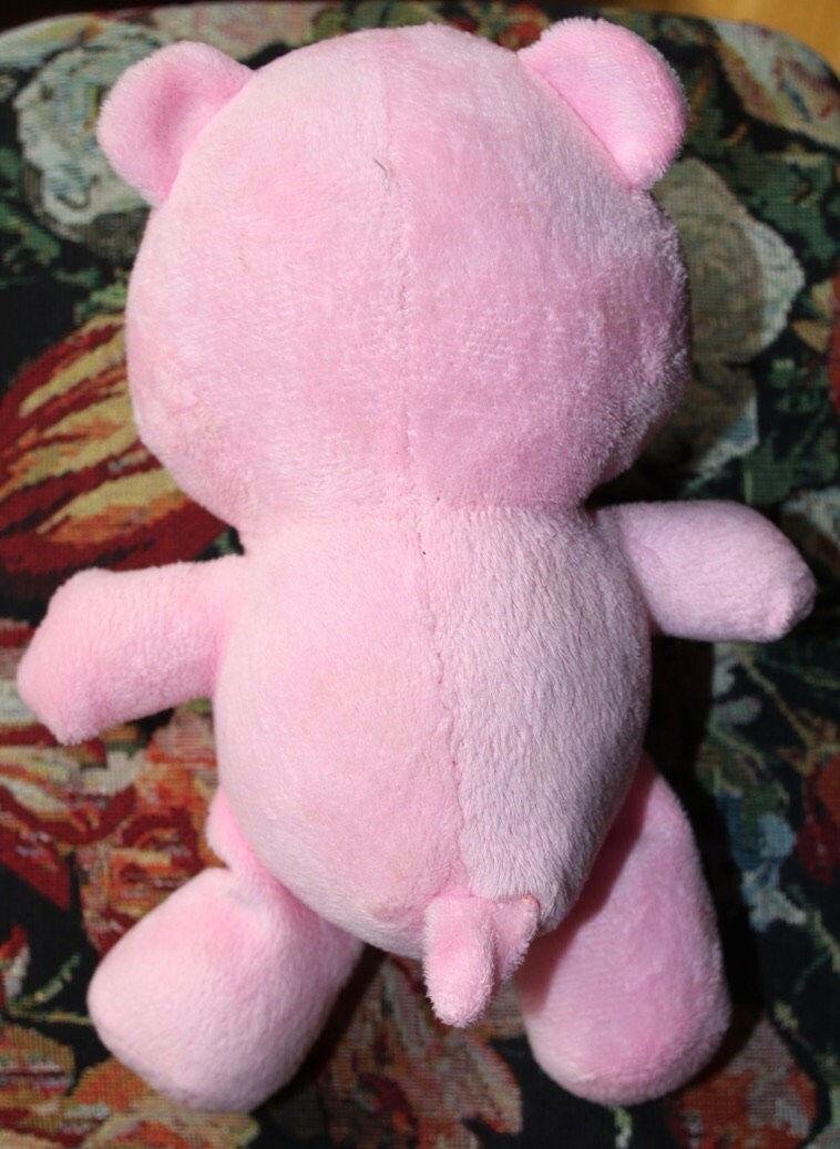 縮圖：Preloved Cheer Care Bear Stuffed Toy