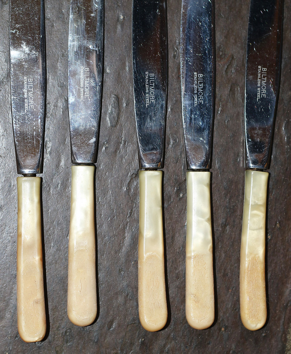 Μικρογραφία: Vintage set of five Biltmore gourmet luncheon knives with celluloid handles