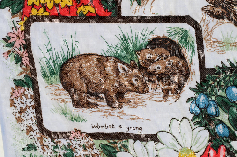 Миниатюра: Vintage Souvenir Tasmanian Wild Flowers and Wild Life Tea Towel