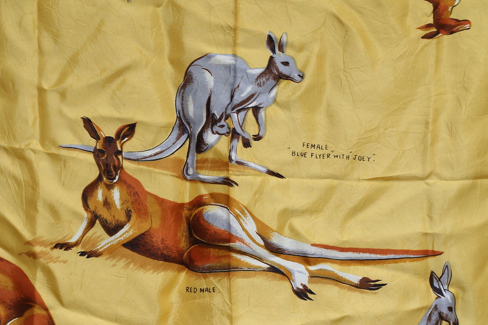 Thumbnail: Preloved Australia Souvenir Scarf The Red Kangaroo of Australia