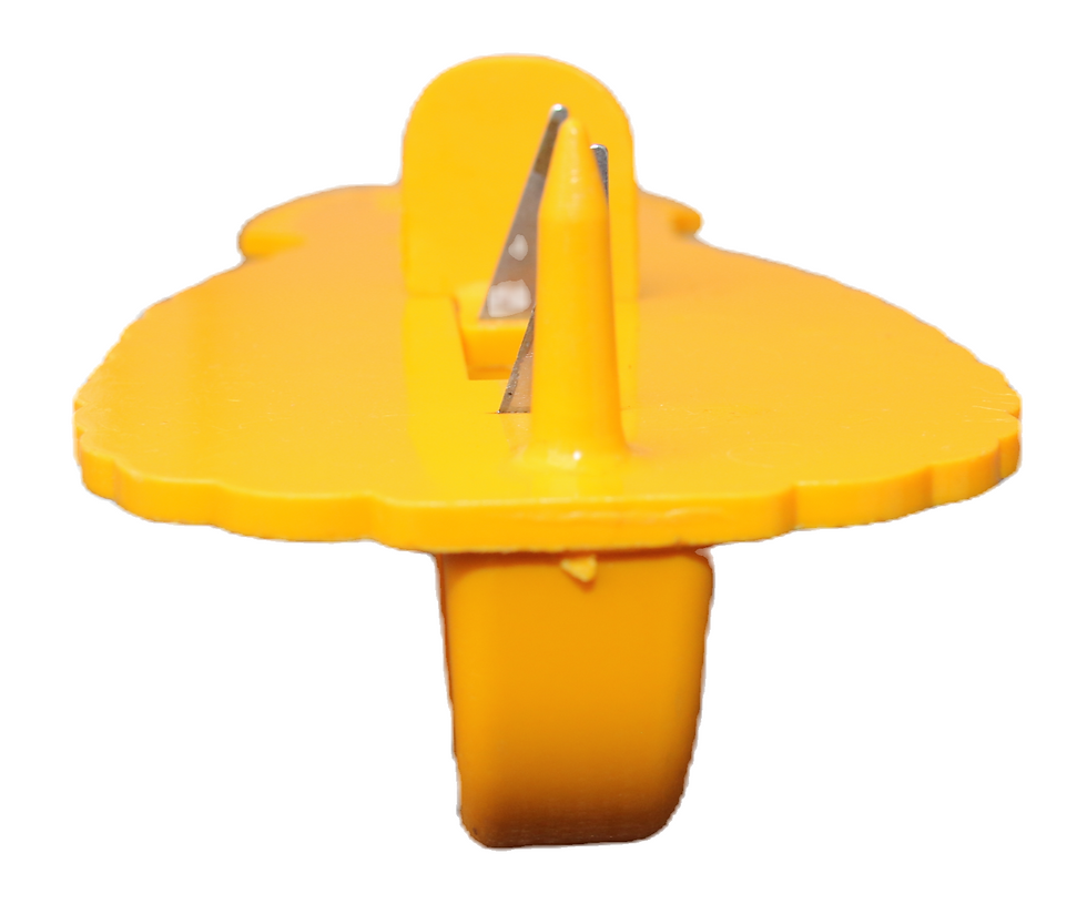 Μικρογραφία: Preloved Pineapple Slicer