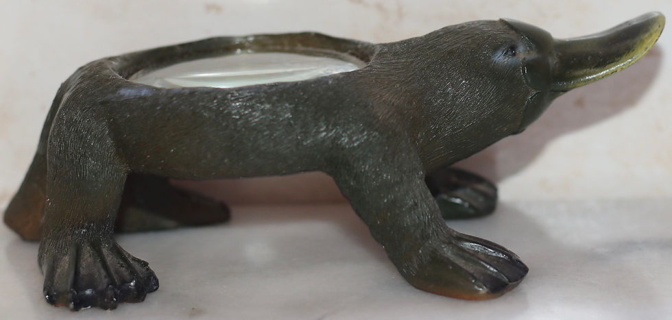 Μικρογραφία: Preloved Platypus magnifying glass paperweight.