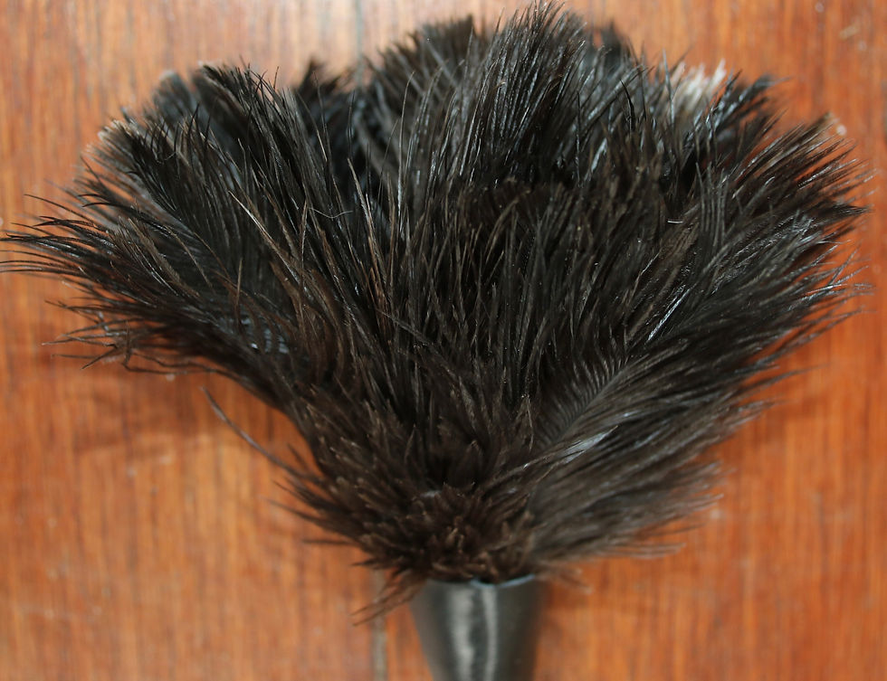 Thumbnail: Preloved Feather Duster