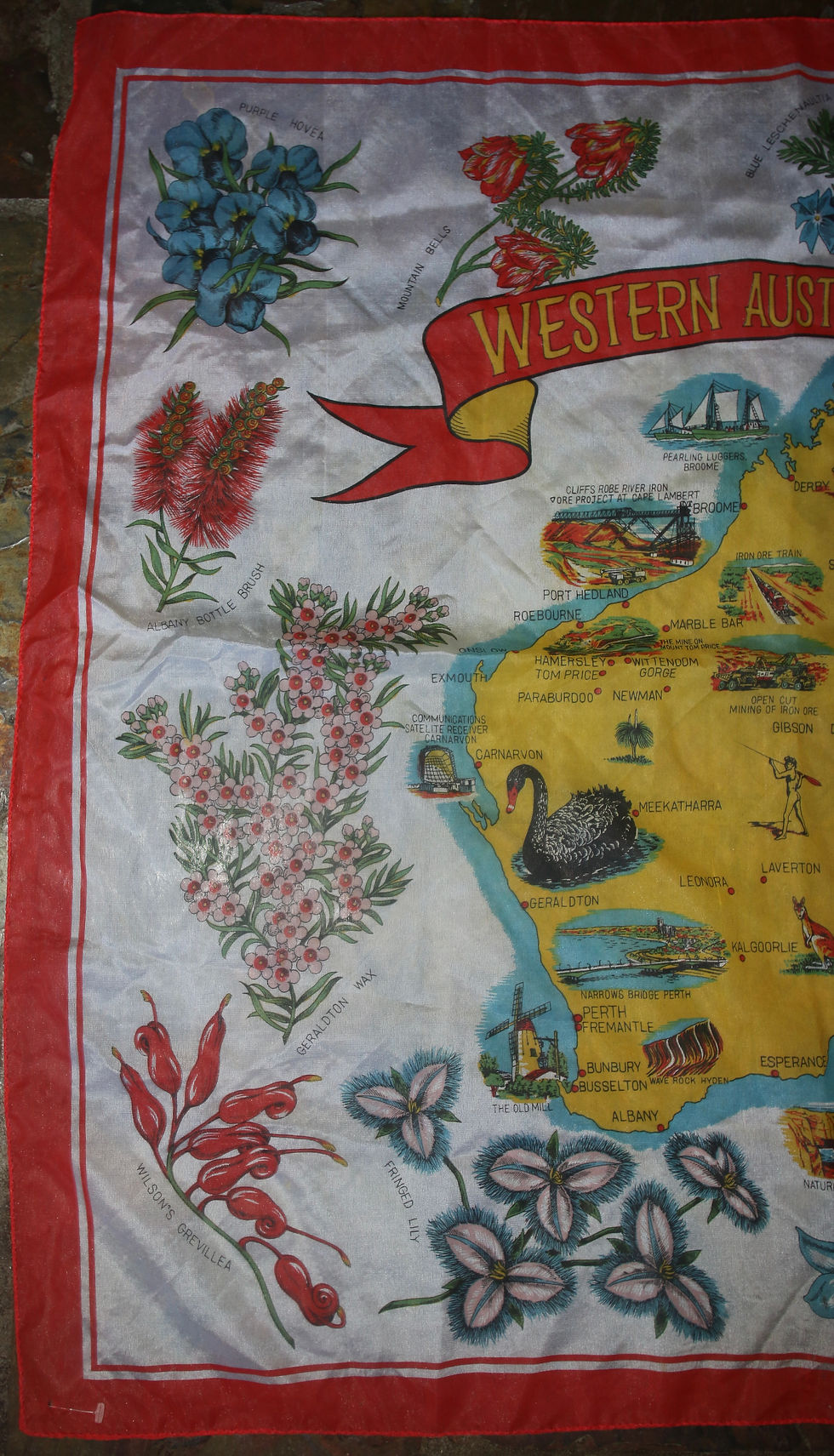 縮圖：Preloved Western Australia Souvenir Scarf, Citer Scarf