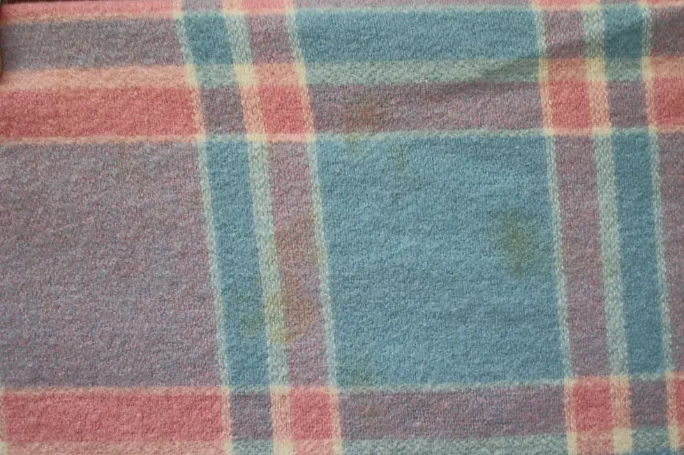 Thumbnail: Preloved Highlander By Waverley Best For Rest Lambswool Blanket
