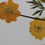 縮圖：Preloved Vintage Floral Wall Hangings, Set of Four Flower Pictures