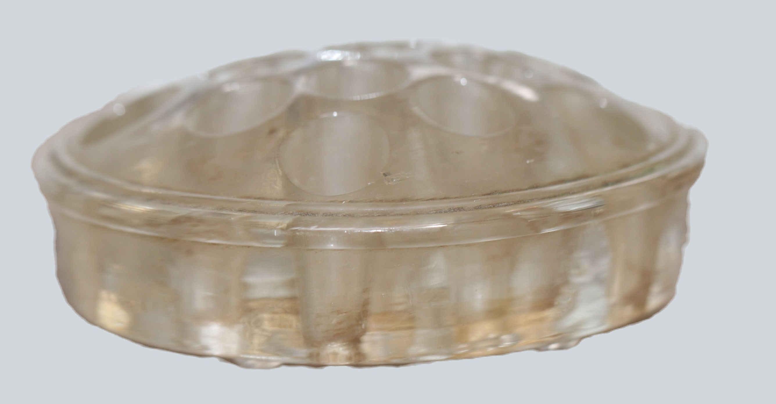 Preloved Glass Flower Frog