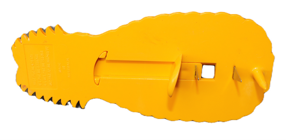 Μικρογραφία: Preloved Pineapple Slicer