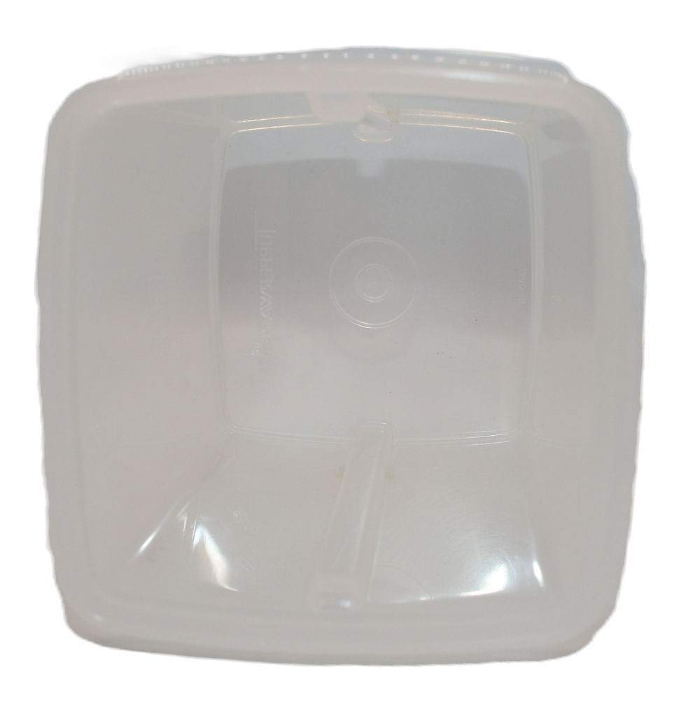 Thumbnail: Preloved Tupperware Beetroot Keeper, Tupperware pickle or pineapple or b