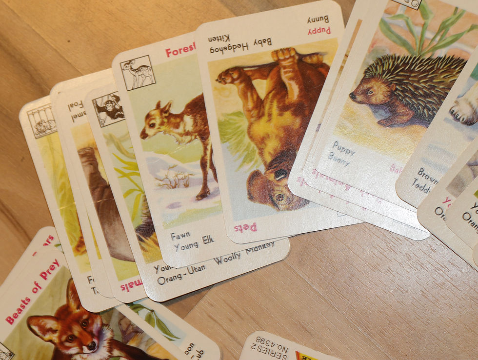 Miniatura: Preloved Vintage Nursery Zoo Quartet Card Game by Piatnik