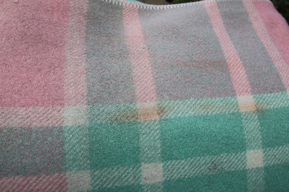 Miniatura: Preloved Woollen Warrnambool blanket - Single Blanket