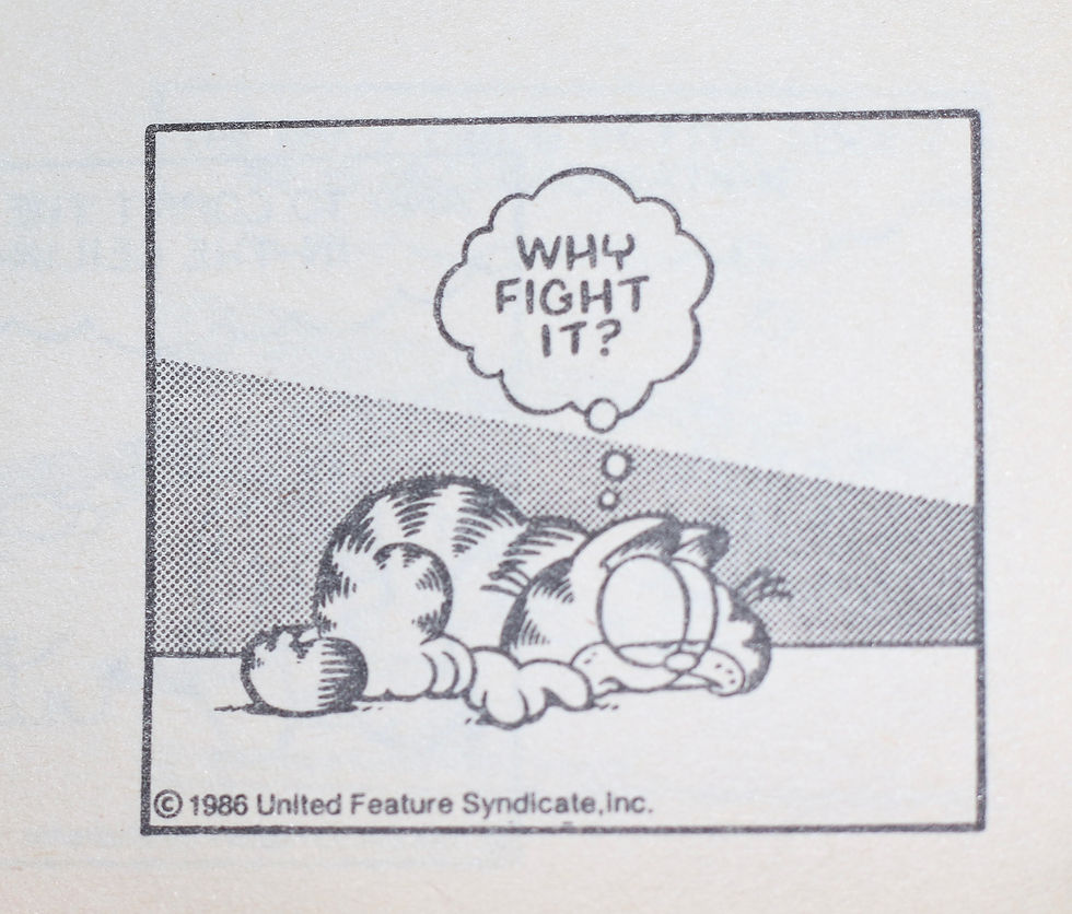 縮圖：Preloved Vintage Sleepy Garfield Comic Book Sleepy Garfield'