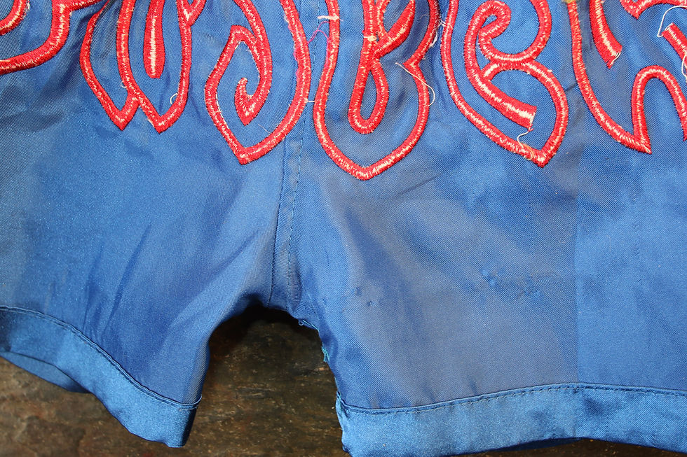 Miniaturbild: Preloved Thaiboxing XXS Shorts