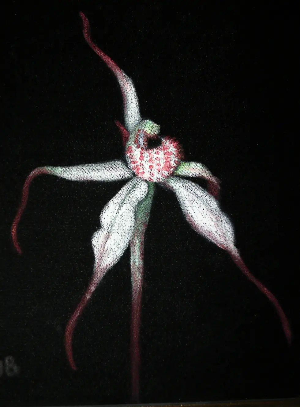 Preloved Vintage Spider Orchid Velvet Art Picture