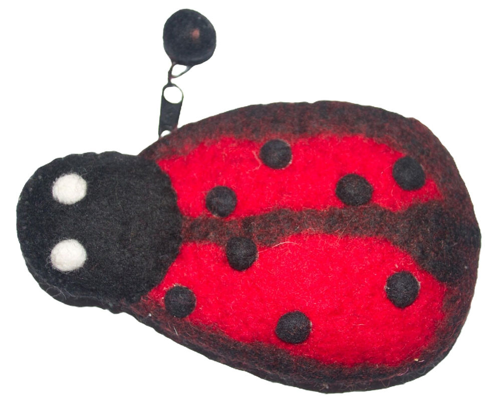 Preloved Lady Beetle Change Purse