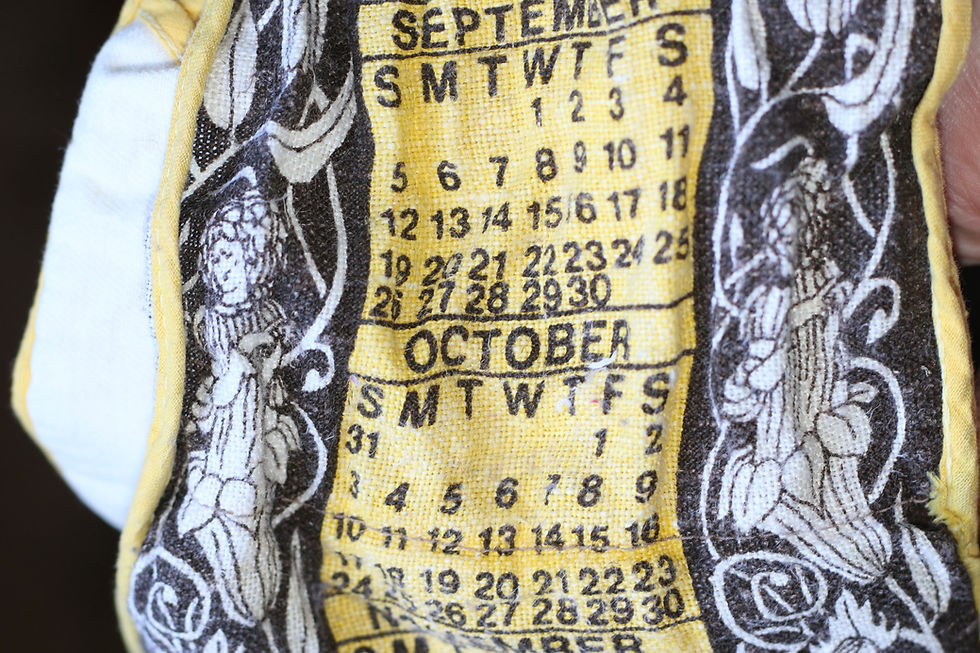 Μικρογραφία: Preloved Vintage 1976 Calendar double oven mitt or glove