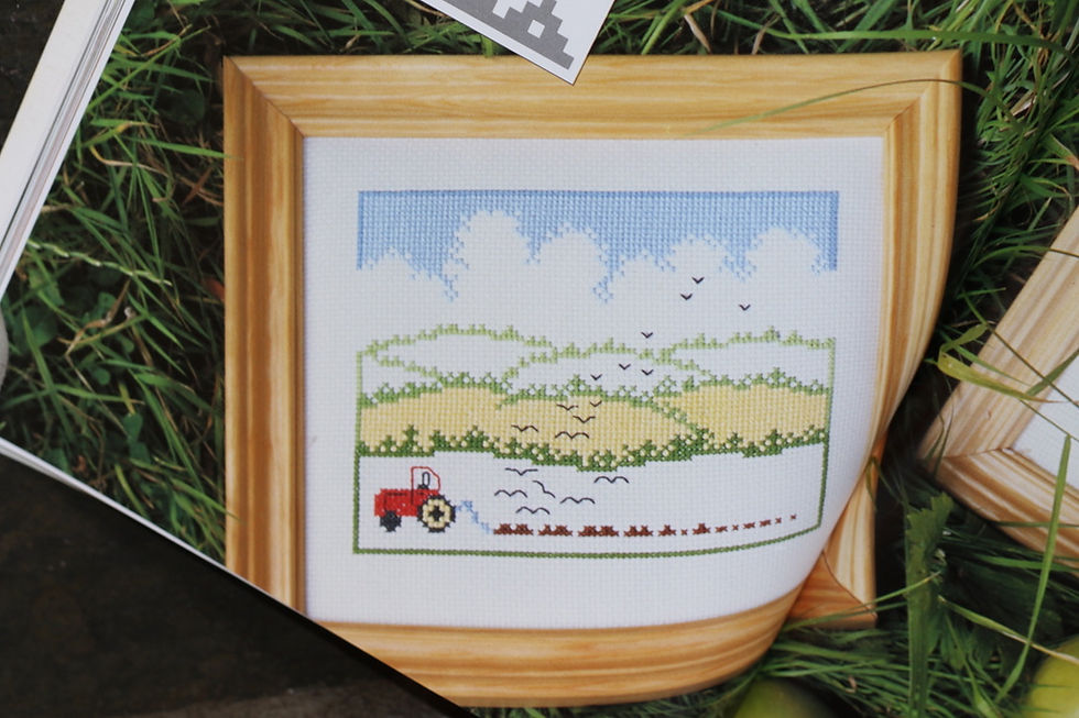 Miniatura: Preloved The Countryside in Cross Stitch by Christina Marsh Pattern Book