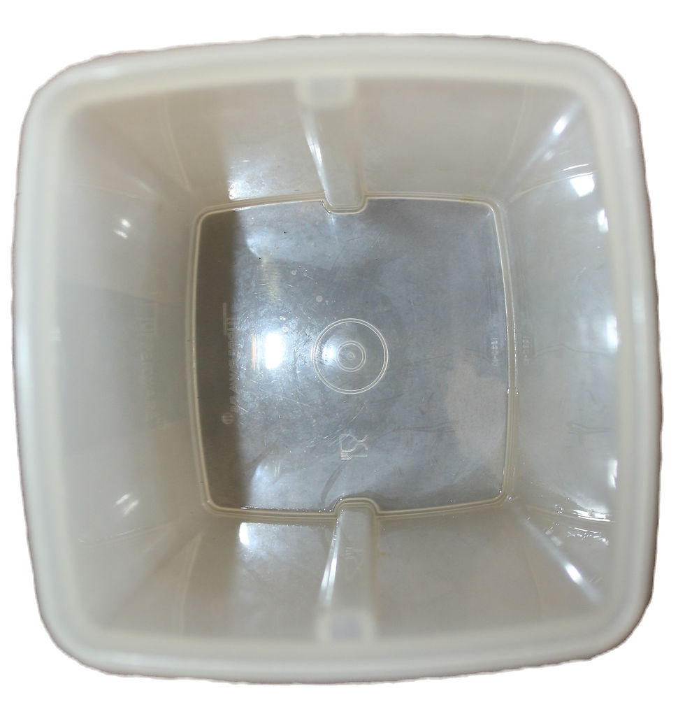 Миниатюра: Preloved Large Tupperware Beetroot Keeper, Tupperware pickle or pineapple or b