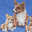 Miniatura: Vintage Ulster Irish Linen Corgis Tea Towel