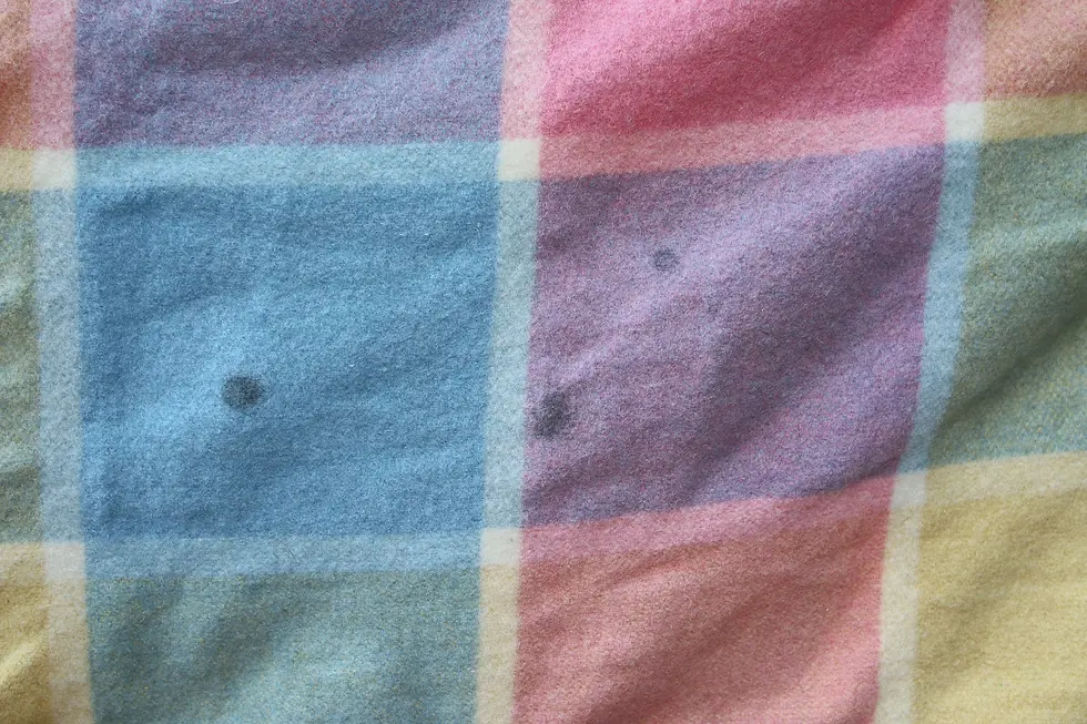 Thumbnail: Preloved Vintage Wool Double Blanket, Weighted Blanket