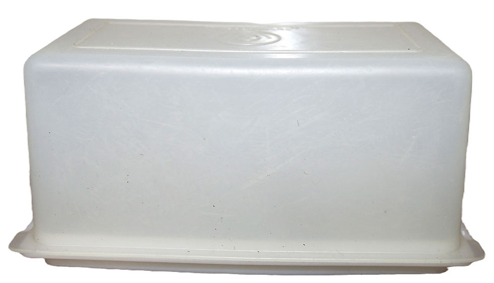 縮圖：Preloved Tupperware Butter Dish, Tupperware Cheese Dish