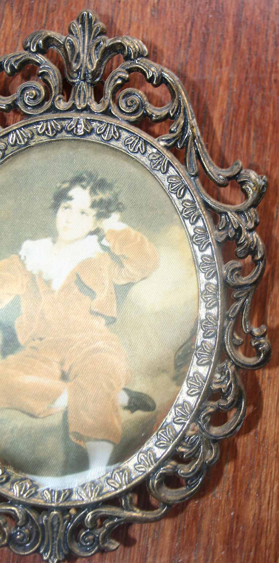 Thumbnail: Preloved Silk picture in ornate metal frame