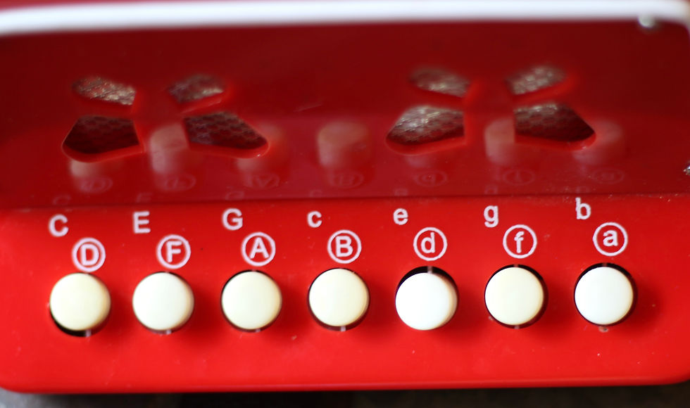 Μικρογραφία: Preloved CB SKY Toy Accordion, Child's Accordion