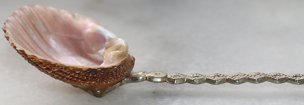 Μικρογραφία: Vintage souvenir spoon featuring a real seashell bowl and a seashell finial.